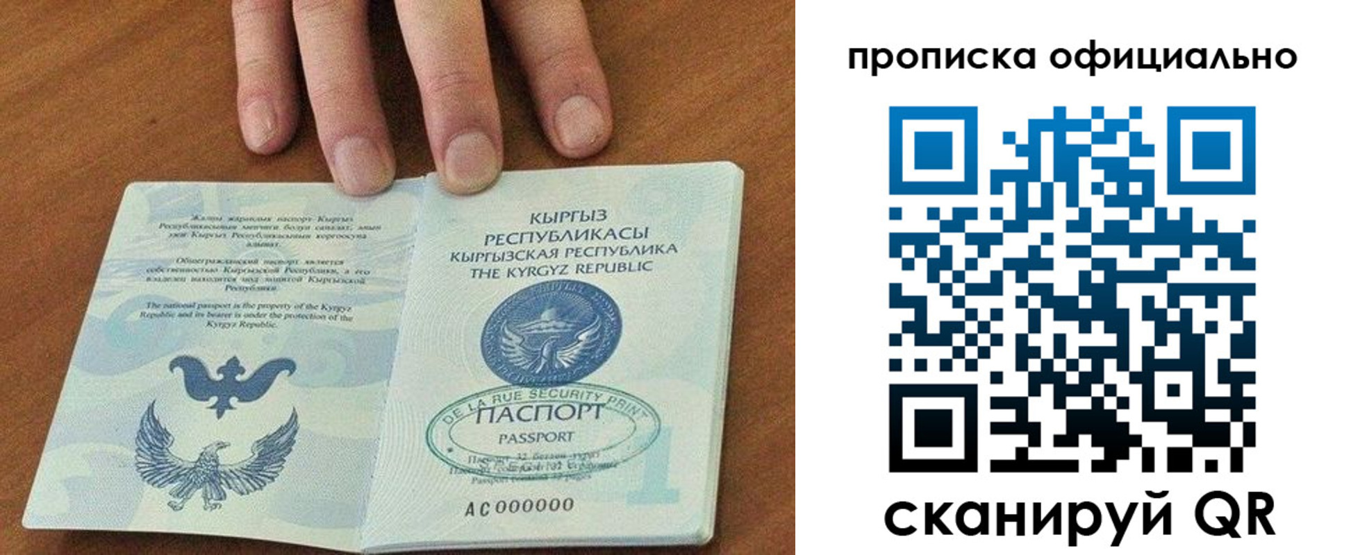 временная регистрация госуслуги в Новосибирской области